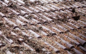 Arbuthnott roof cleaning companies